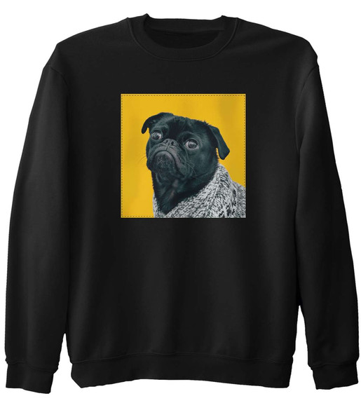 Bluza z naszywką Pug
