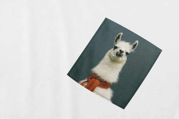 Koszulka z kieszonką LAMA