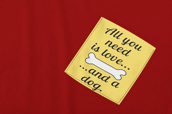 Koszulka z kieszonką ALL YOU NEED IS