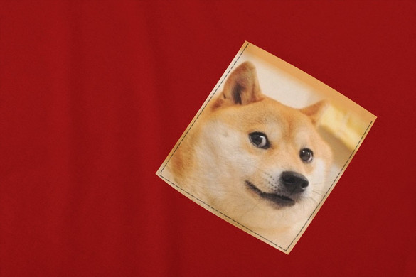 Koszulka z kieszonką PIES PIESEŁ