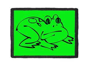 Naszywka ŻABA / FROG