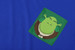 Koszulka z kieszonką SHREK