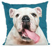 Poduszka pies, piesek buldog