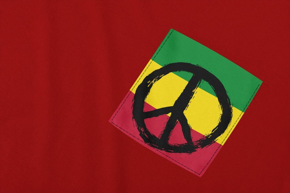 Koszulka z kieszonką PACYFKA RASTA