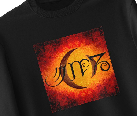 Bluza z naszywką A Perfect Circle 02