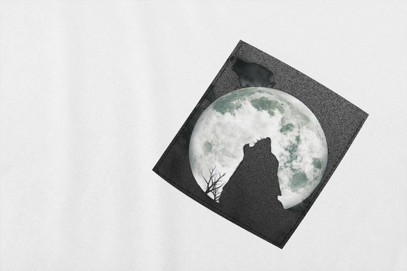 Koszulka z kieszonką WOLF