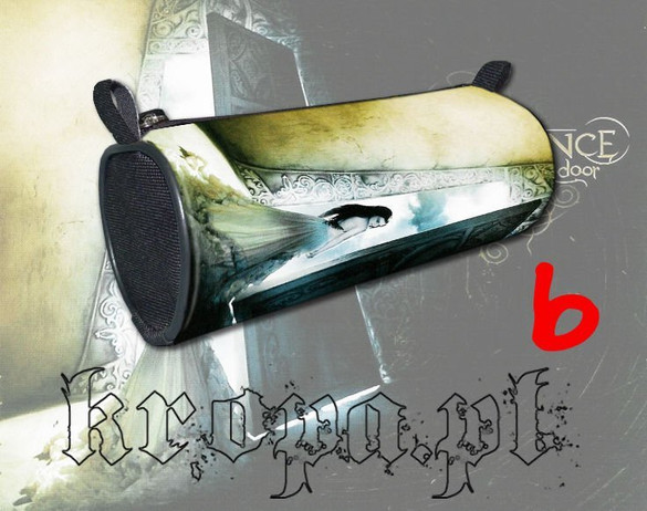 Piórnik szkolny EVANESCENCE