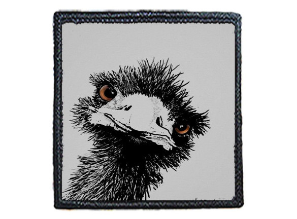 Naszywka OSTRICH / STRUŚ