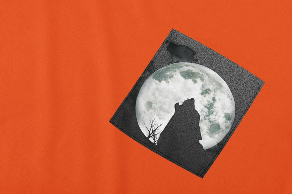 Koszulka z kieszonką WOLF