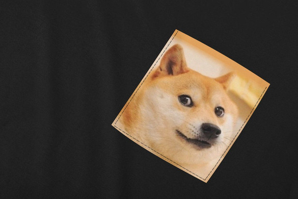 Koszulka z kieszonką PIES PIESEŁ