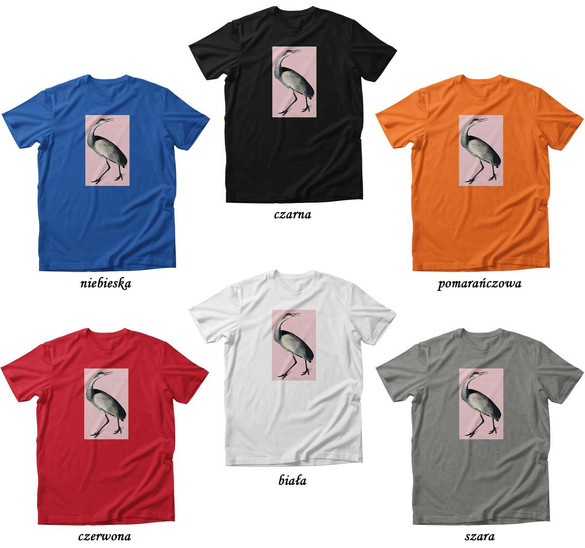 Koszulka PTAK ARTYSTYCZNY