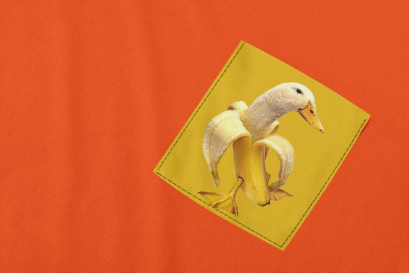 Koszulka z kieszonką BANANA DUCK