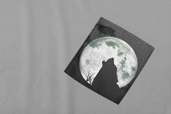 Koszulka z kieszonką WOLF