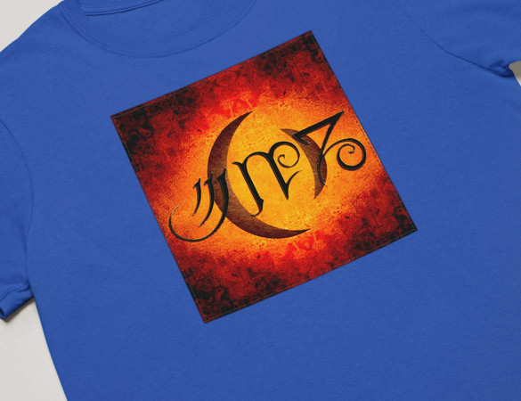 Koszulka z naszywką A Perfect Circle 02