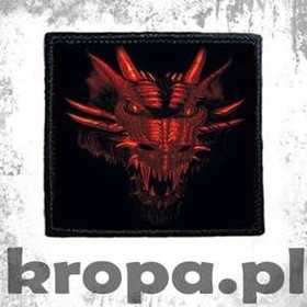 Naszywka RED DRAGON