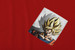 Koszulka z kieszonką DRAGON BALL SON GOKU 2