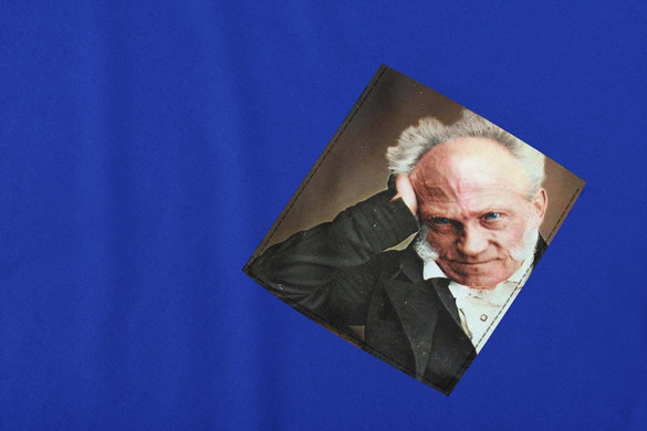 Koszulka z kieszonką SCHOPENHAUER