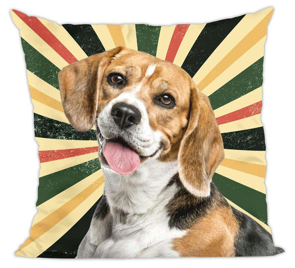 Poduszka pies, piesek beagle retro