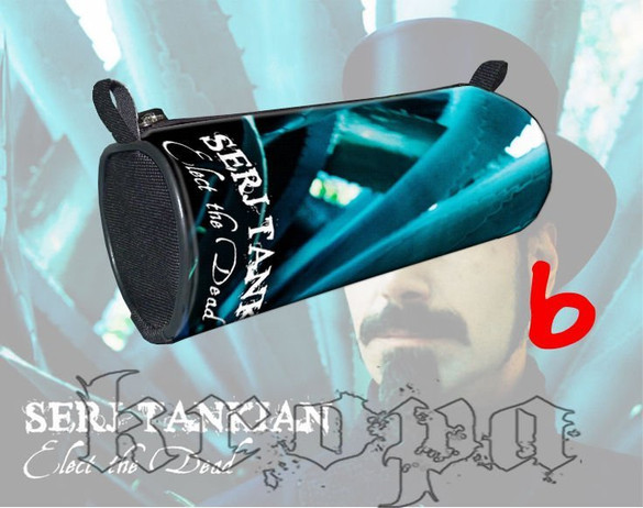  Piórnik szkolny SERJ TANKIAN