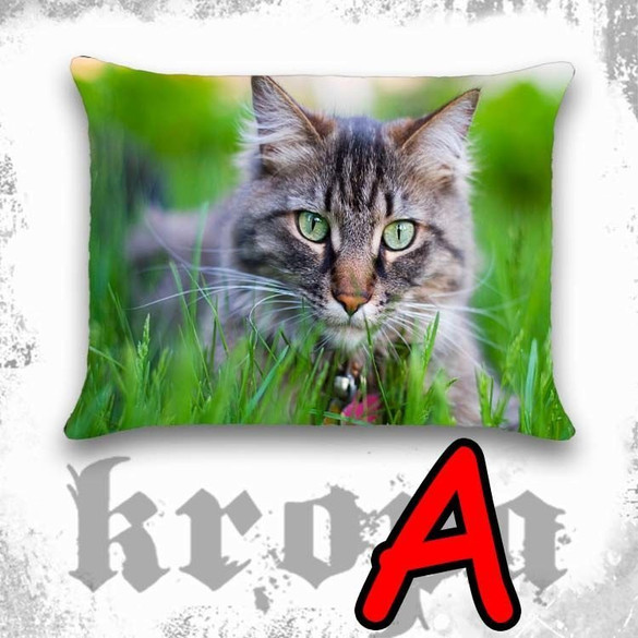 Poduszka Koty #Kotki