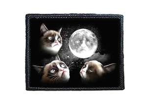 Naszywka GRUMPY CATS / GDERLIWE KOTY