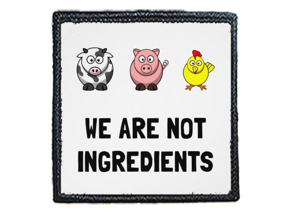 Naszywka WE ARE NOT INGREDIENTS