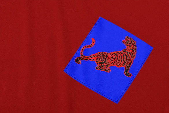 Koszulka z kieszonką TYGRYS