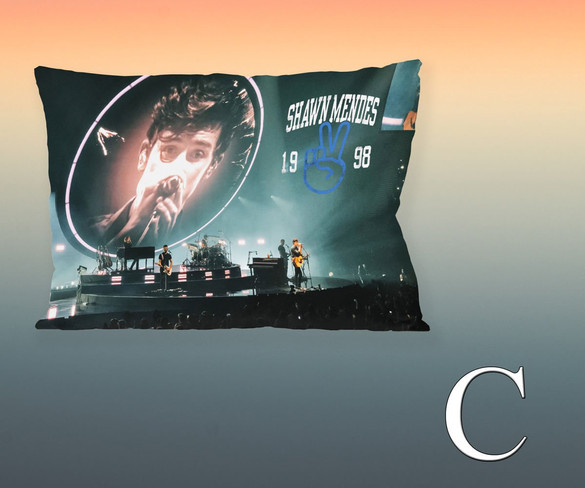 Poduszka SHAWN MENDES 60x40cm WZORY