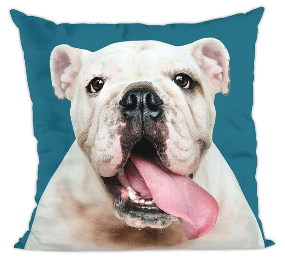 Poduszka pies, piesek buldog