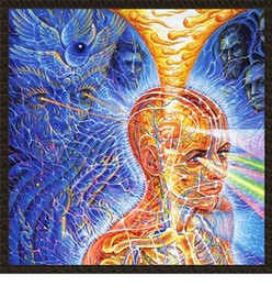 Naszywka Wizjonerska Psychodeliczna 403