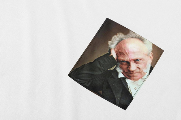 Koszulka z kieszonką SCHOPENHAUER