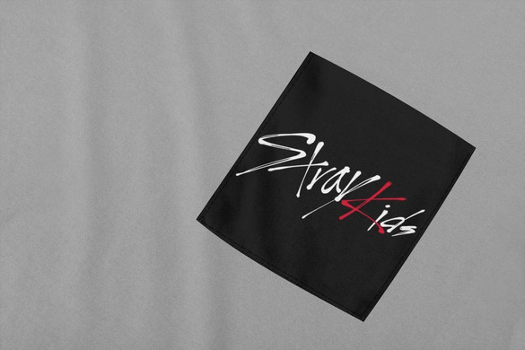 Koszulka z kieszonką STRAY KIDS 01