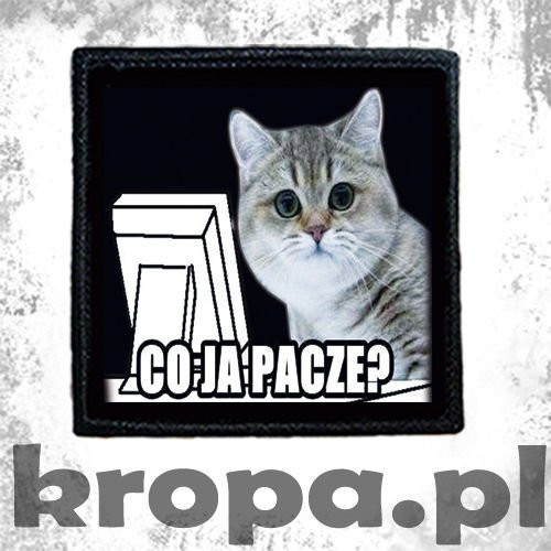 Naszywka CO JA PACZE?