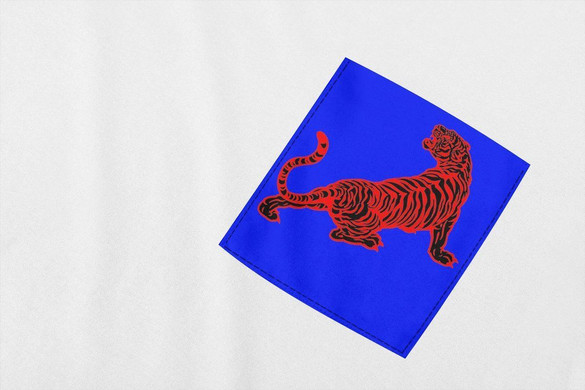 Koszulka z kieszonką TYGRYS