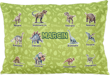 Poduszka Dinozaury różne - z imieniem dziecka