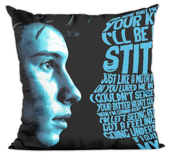 Poduszka Shawn Mendes 02