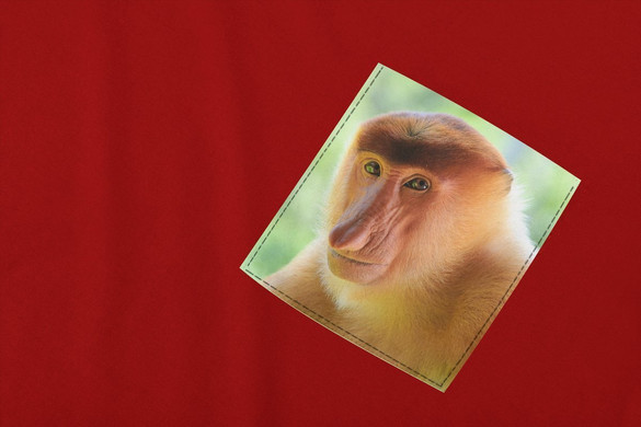 Koszulka z kieszonką JANUSZ NOSACZ