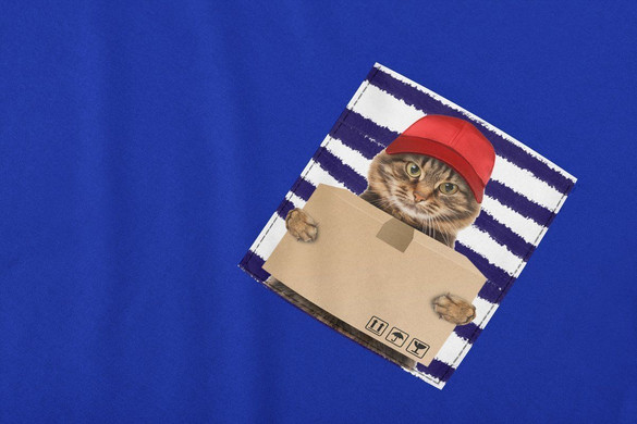 Koszulka z kieszonką KOT KURIER