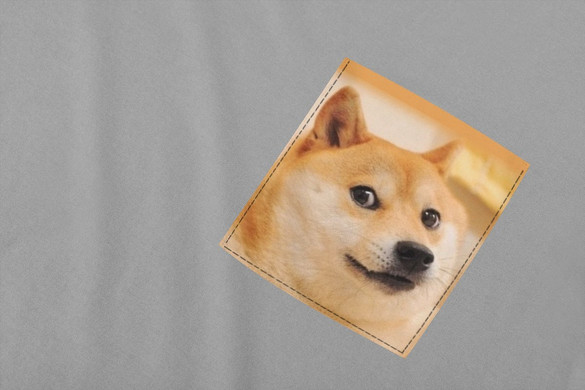 Koszulka z kieszonką PIES PIESEŁ