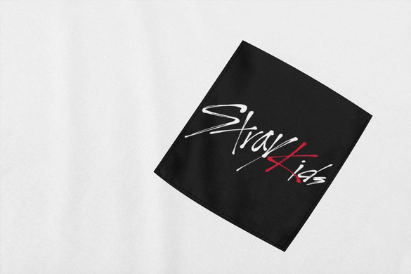 Koszulka z kieszonką STRAY KIDS 01