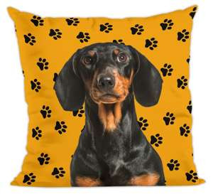 Poduszka pies, piesek jamnik