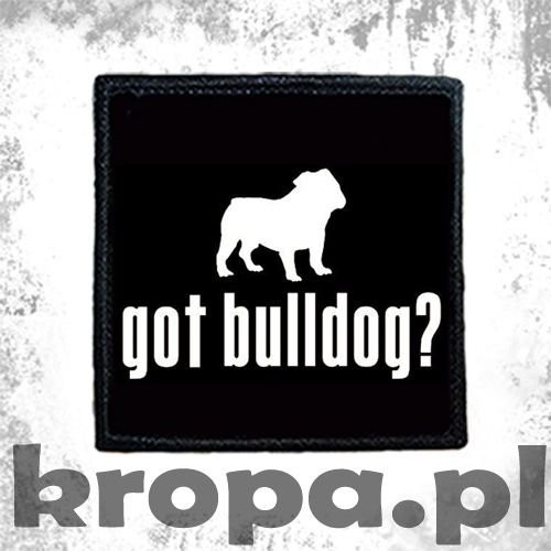 Naszywka  GOT BULLDOG ? 02