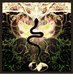 Naszywka Wizjonerska Psychodeliczna 452