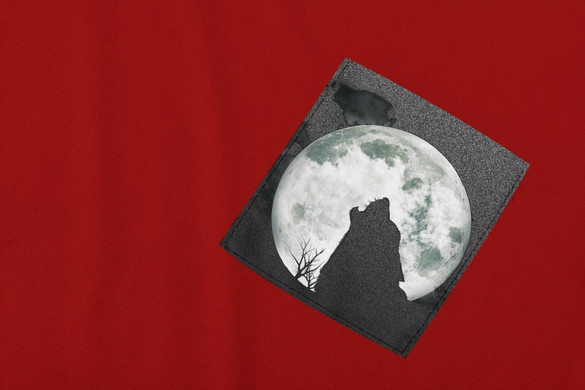 Koszulka z kieszonką WOLF