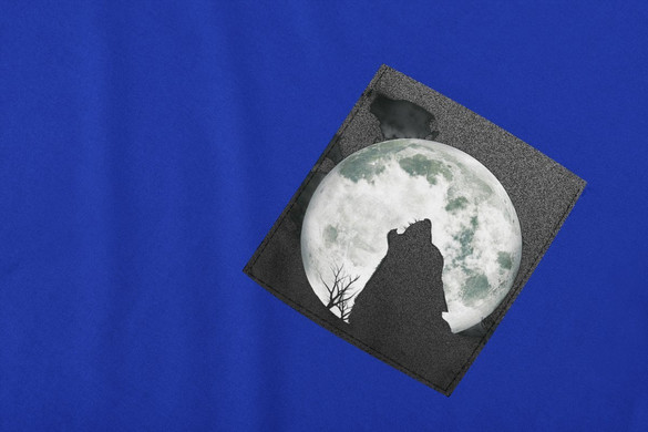 Koszulka z kieszonką WOLF