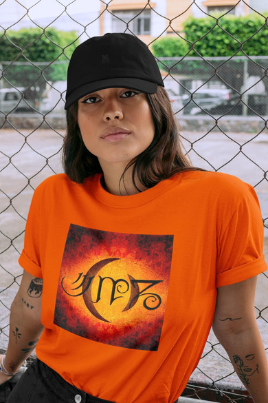 Koszulka z naszywką A Perfect Circle 02