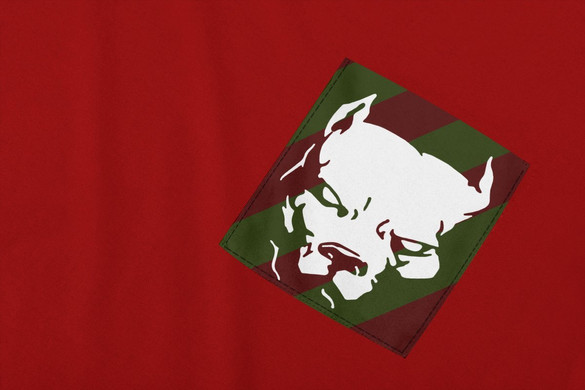 Koszulka z kieszonką PIT BULL