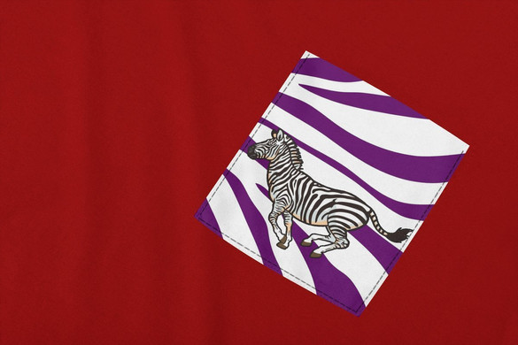 Koszulka z kieszonką SAFARI ZEBRA