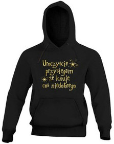 Bluza Uroczyście przysięgam że knuję coś …