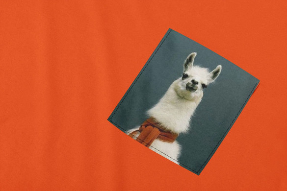 Koszulka z kieszonką LAMA